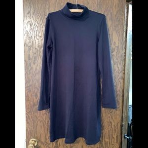 Like New Title Nine Dress